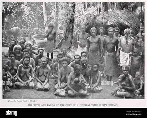 cannibal tribes in the world|Cannibalism in Oceania